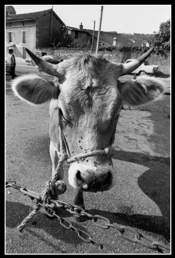 FIGEAC CARTES POSTALES-page-001