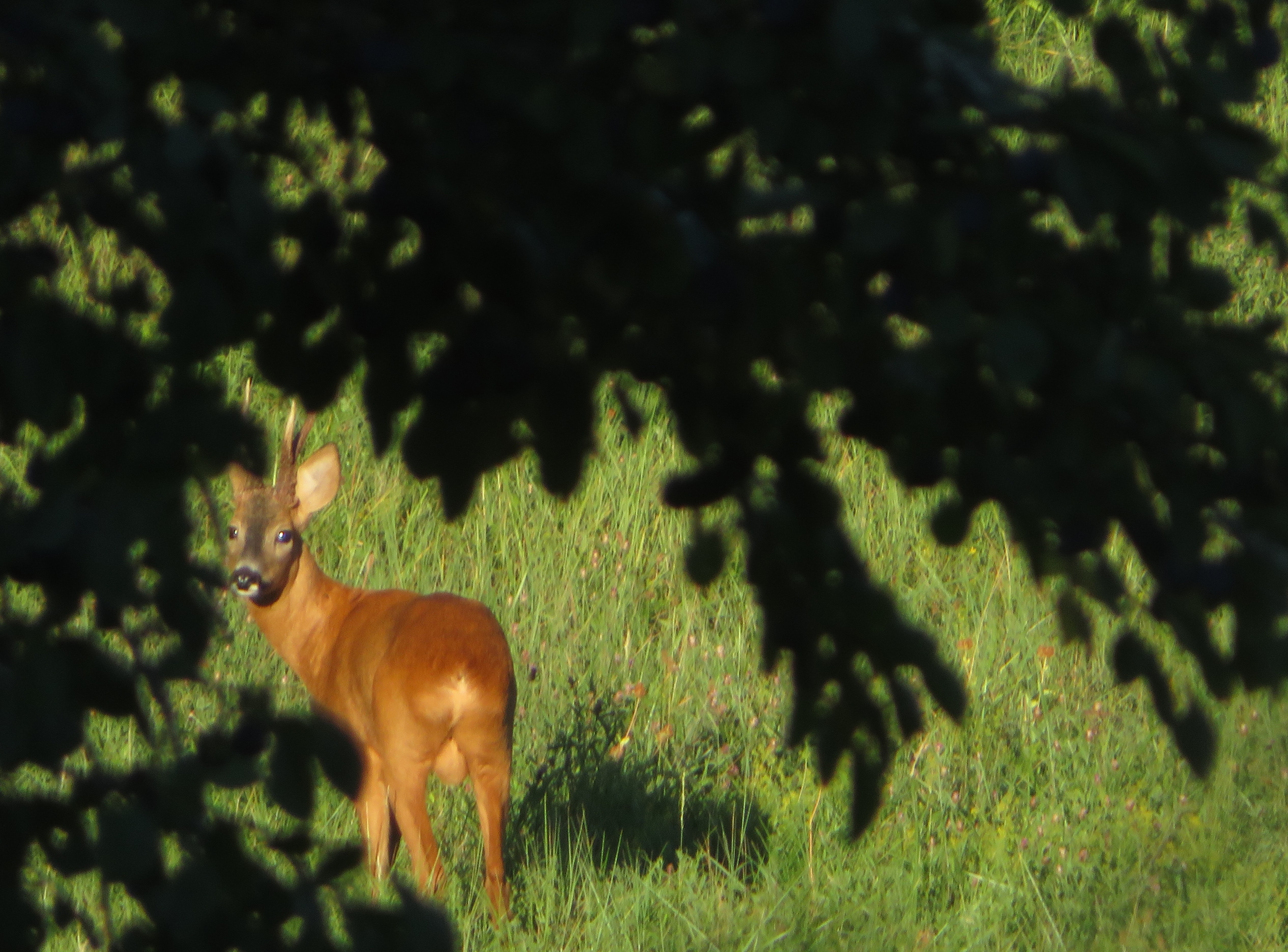 quelqu'un nous regarde