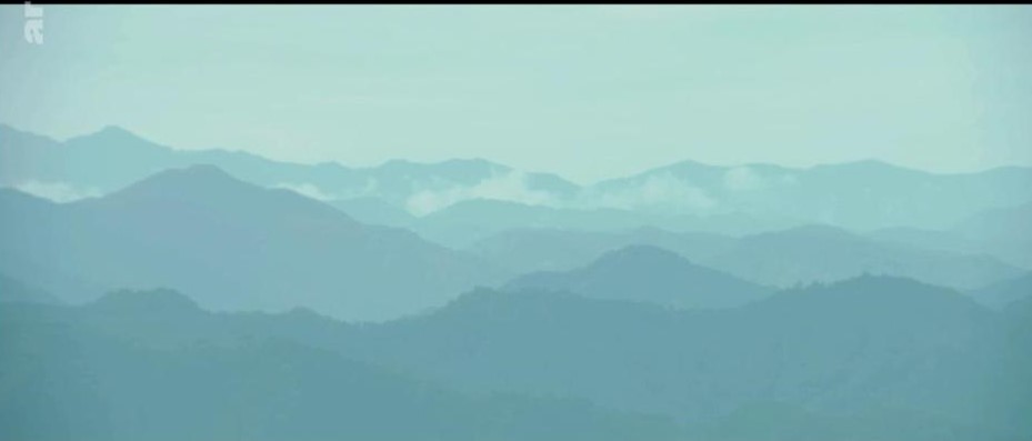 La montagne dans Voyage à Yoshino, de Naomi Kawase