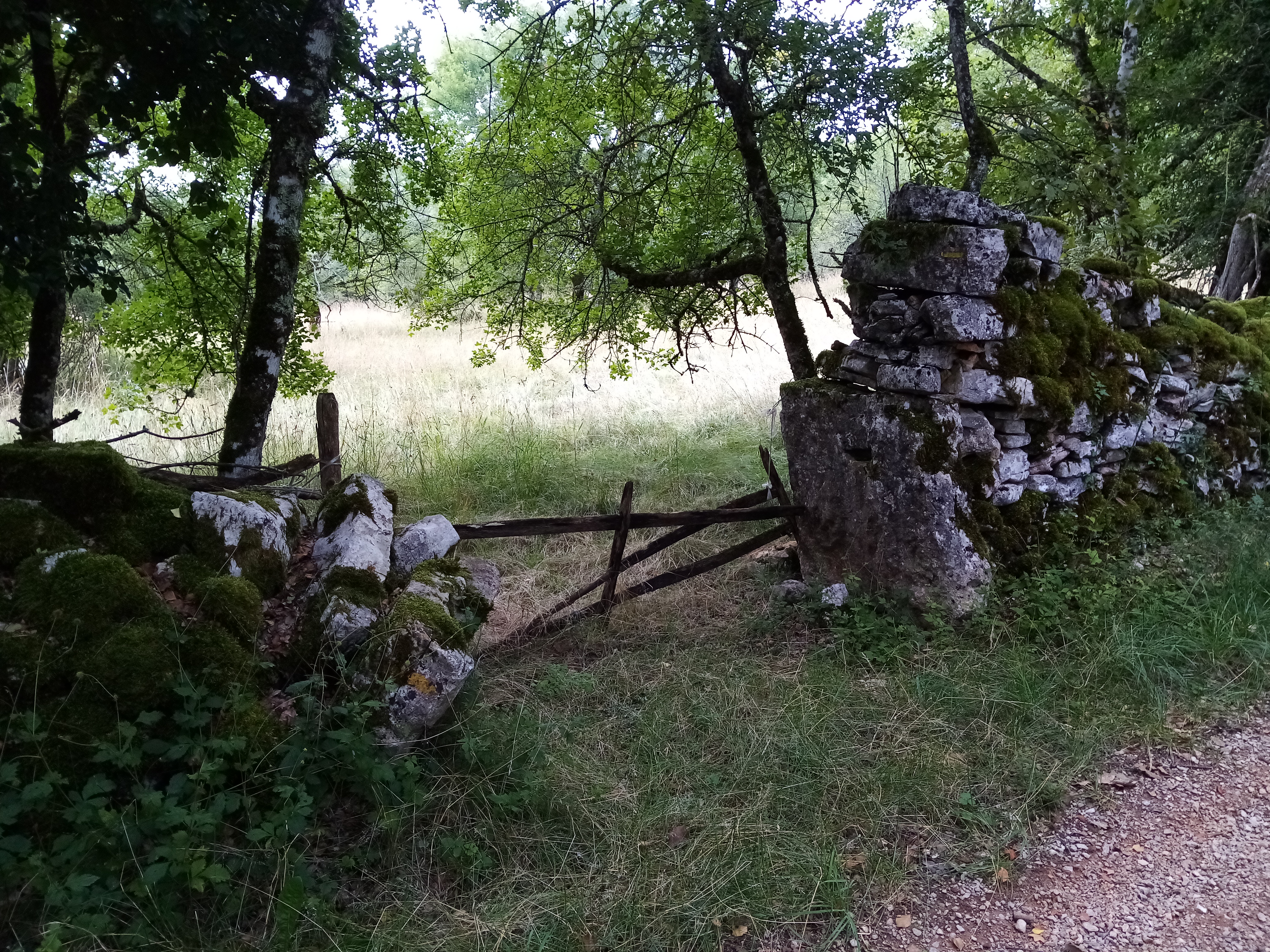 Un inventaire du causse (1) : murets et barrières (Assier-Livernon)
