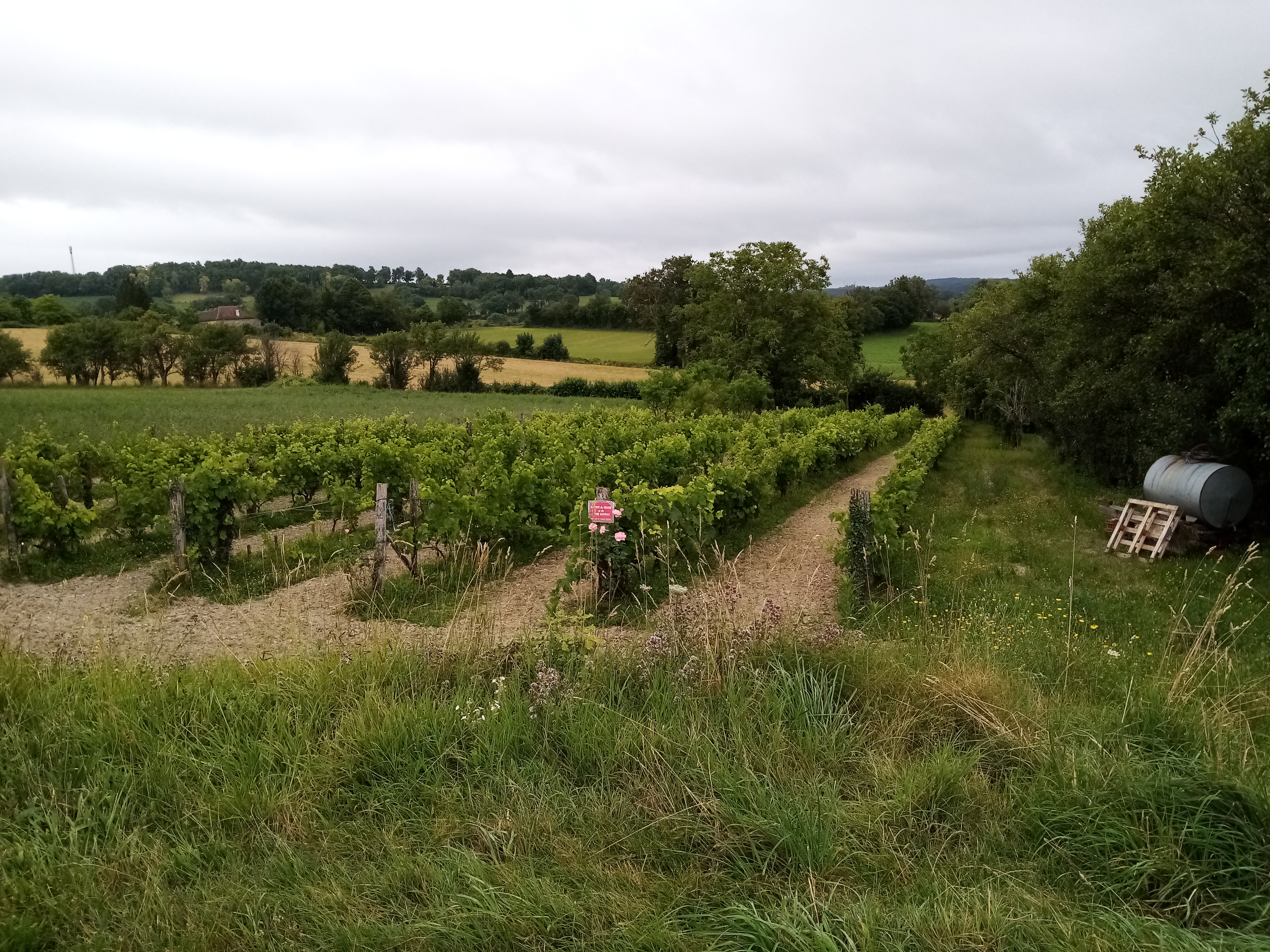 Le Limargue : parcourir un sillon