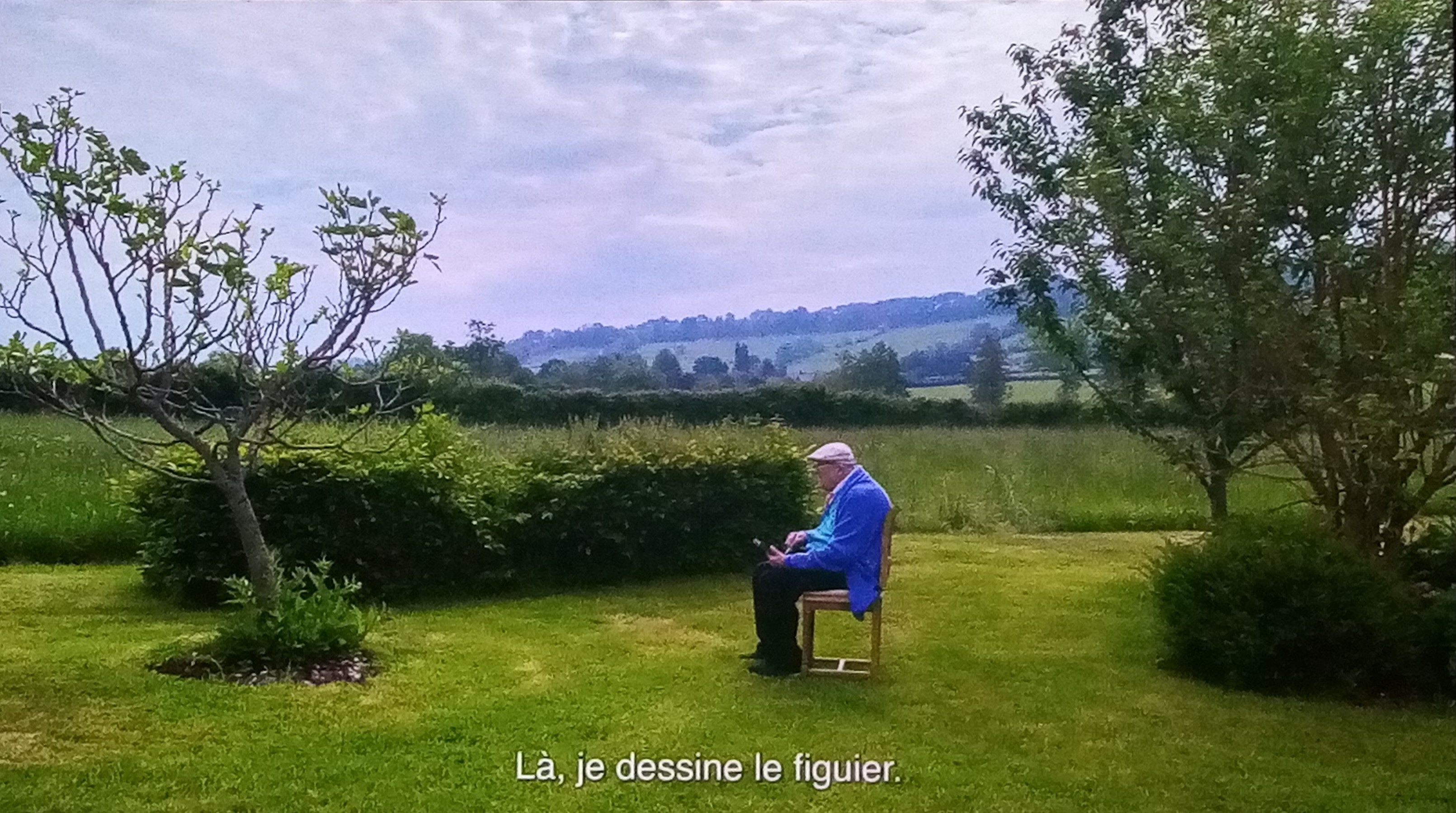 Promenade avec David Hockney : A Year in Normandie (Bayeux)