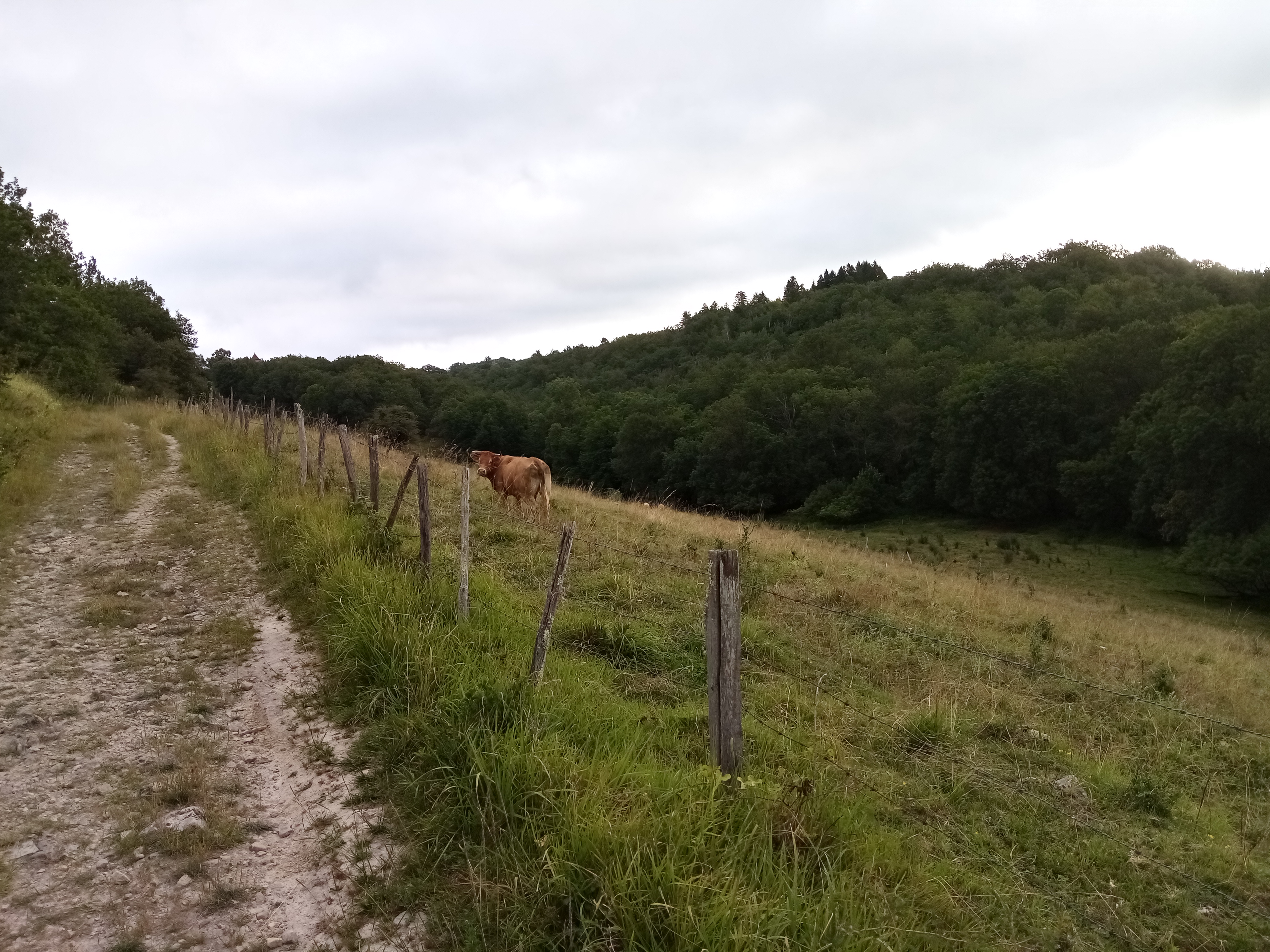 De Figeac à Cardaillac : une promenade à étages