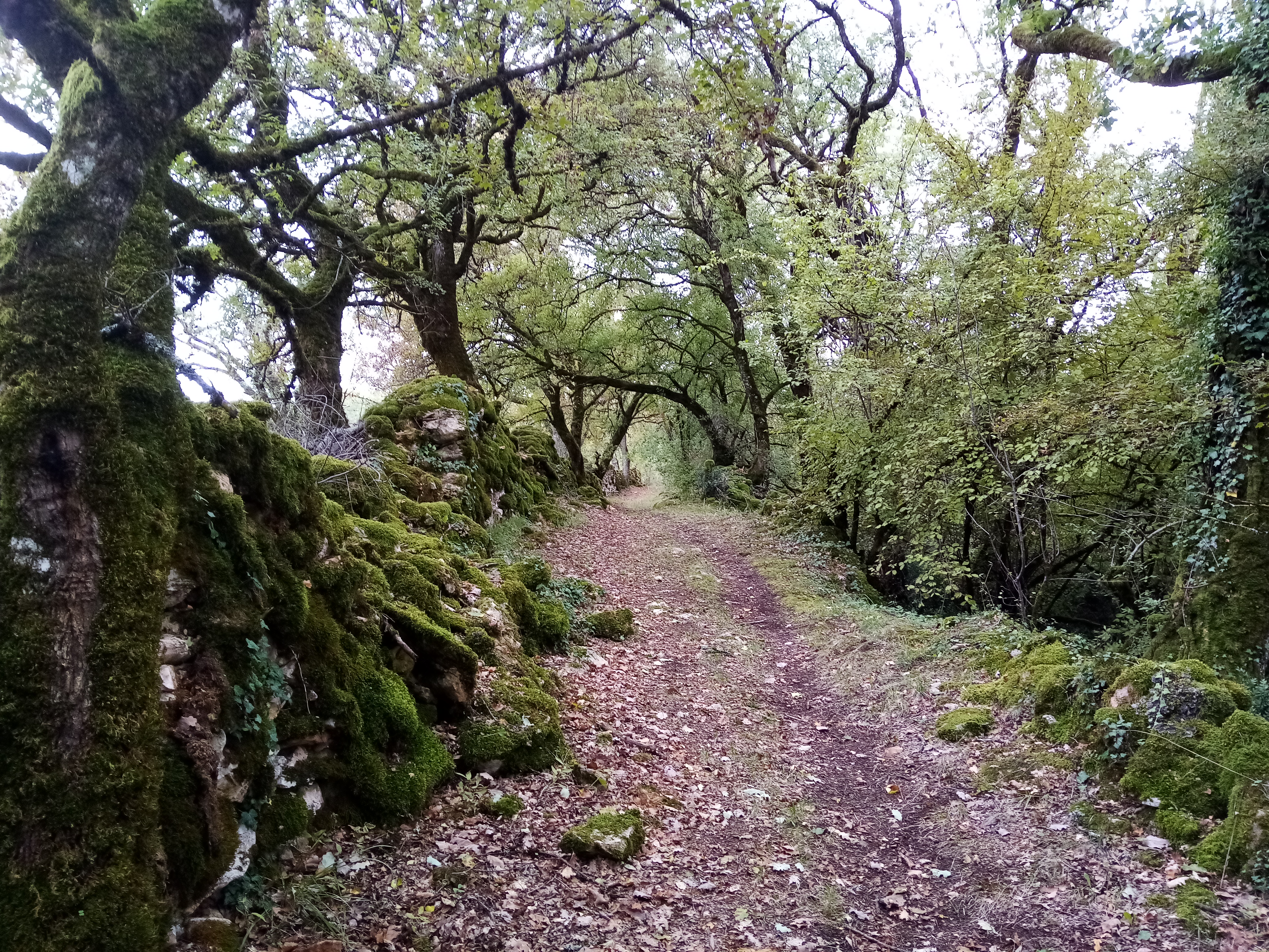 Vialans : les échelles d&rsquo;une promenade